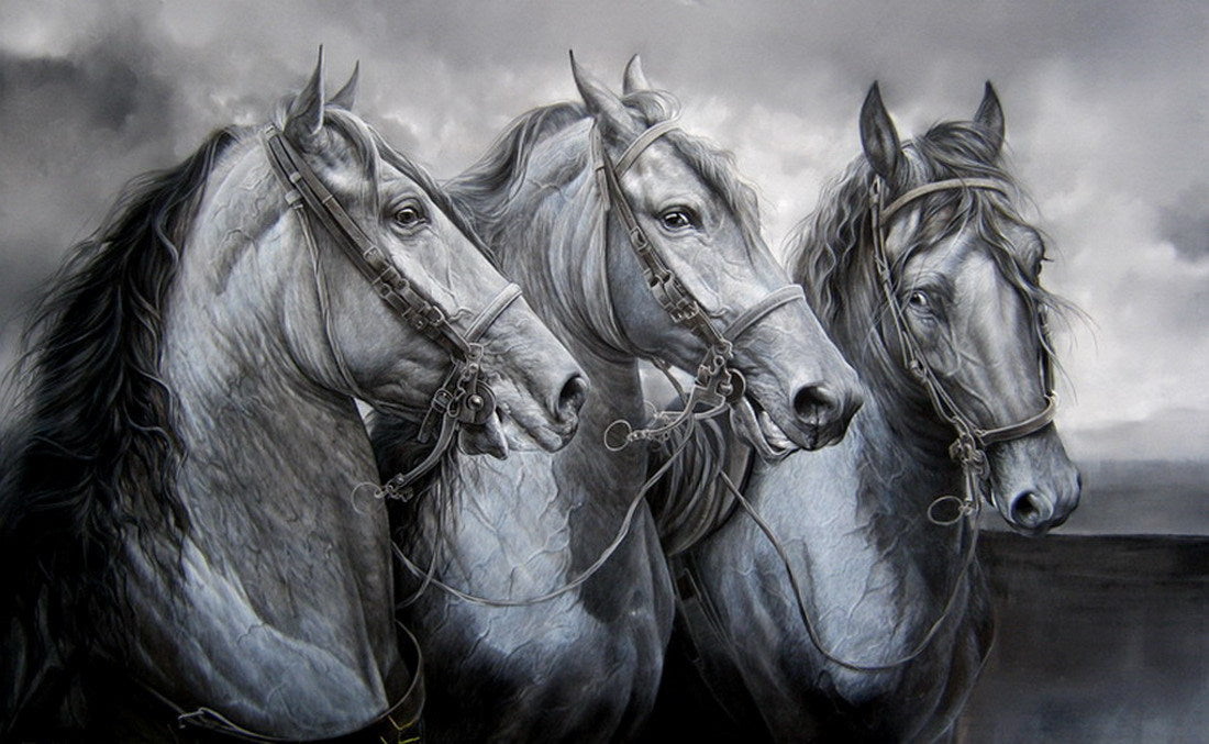 Tale of Three Horses